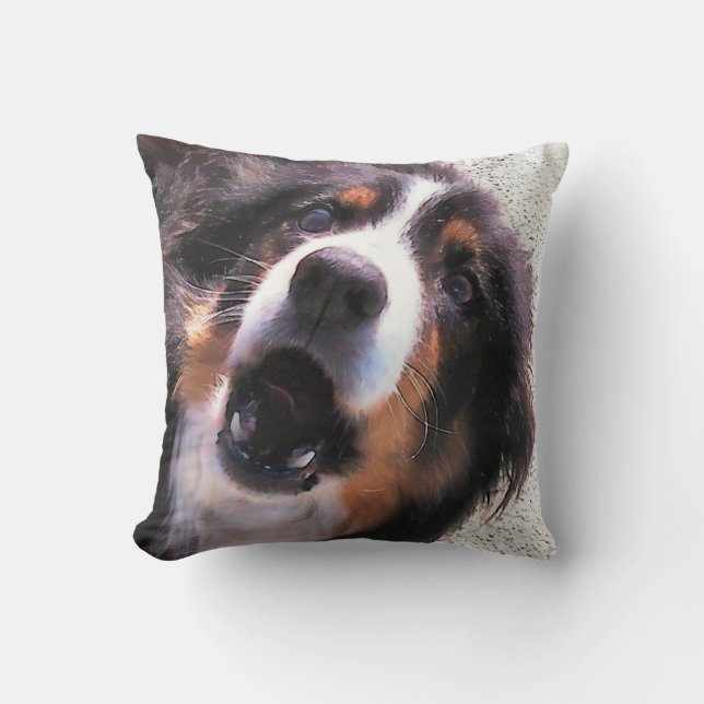 BORDER COLLIE THROW PILLOW (Front)