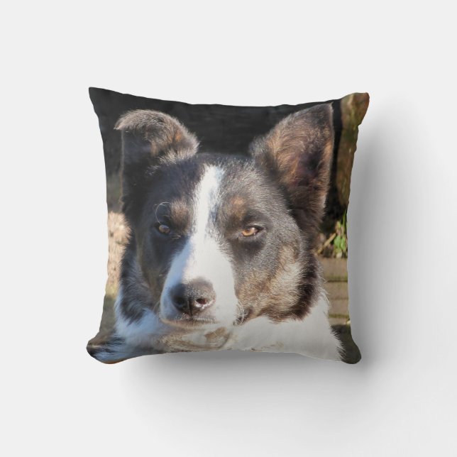 BORDER COLLIE THROW PILLOW (Front)