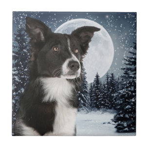 Border Collie Tile