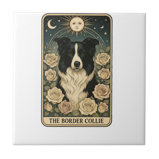 Border Collie Tile (Front)