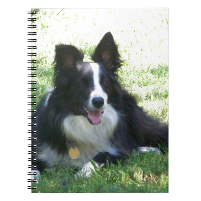 Border Collie Tshirts Notebook (Front)