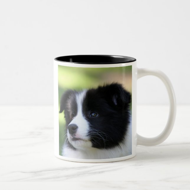 Border Collie Two-Tone Coffee Mug (Right)
