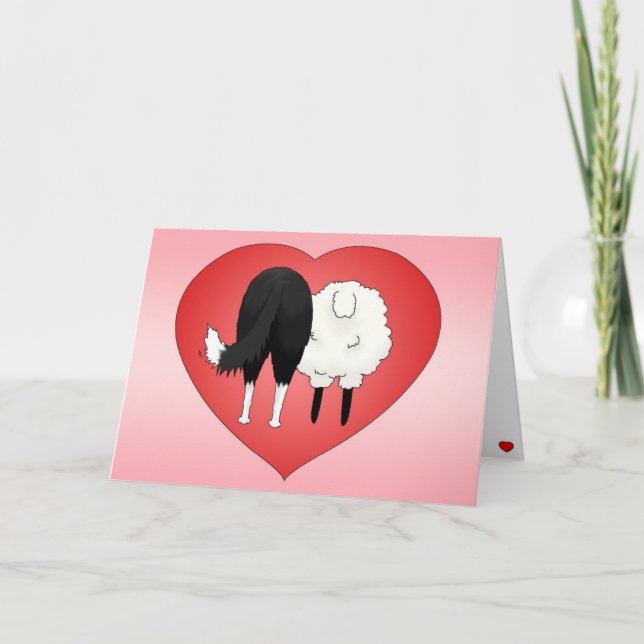Border Collie Valentine's Day Holiday Card (Front)