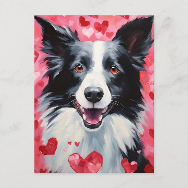 Border Collie Valentines day Postcard (Front)