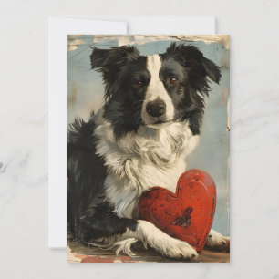 Border Collie Vintage Valentine's Day  Holiday Card