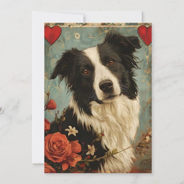 Border Collie Vintage Valentine's day  Holiday Card (Front)