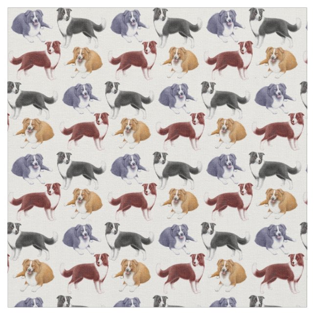 Border collie vivant en troupe le tissu de chiens (Fermer)