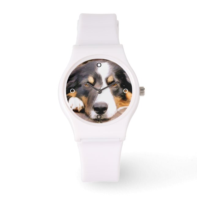 BORDER COLLIE WATCH (Front)