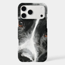 Border collie watercolor portrait