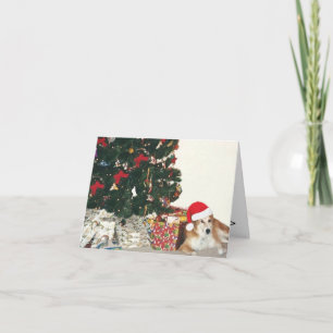 Border Collie Wearing a Santa Hat Holiday Card