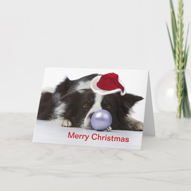 border collie with christmas hat holiday card (Front)