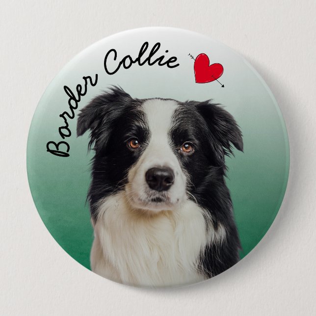 Border Collie with green gradient background 4 Inch Round Button (Front)
