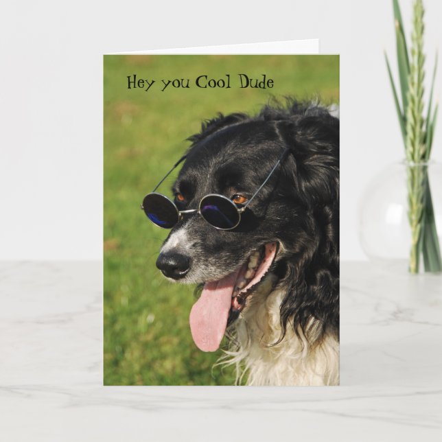 Border Collie Yappy Birthday Card (Front)