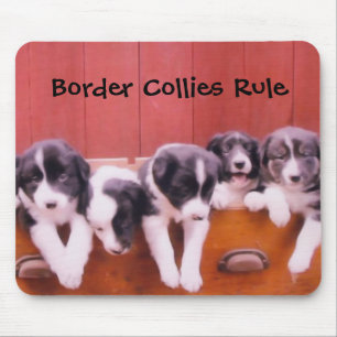 Border Collies Rule Animal Mousepad