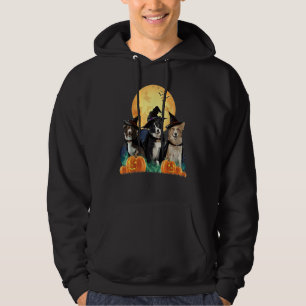 Border Collies Witch Pumpkin Halloween Night Costu Hoodie