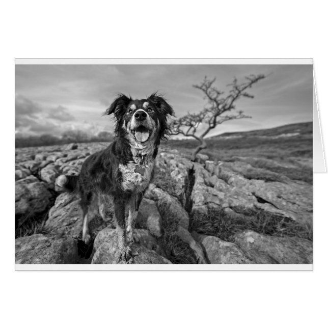 Border on lookout (Front Horizontal)