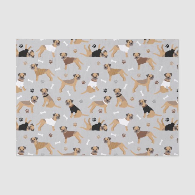 Border Terrier Bones and Paws Tissue Paper (Front)
