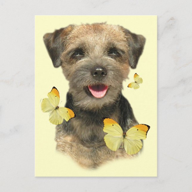 Border Terrier Butterfly Postcard (Front)
