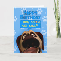 Border Terrier Dog Cartoon With A dash Of Humour