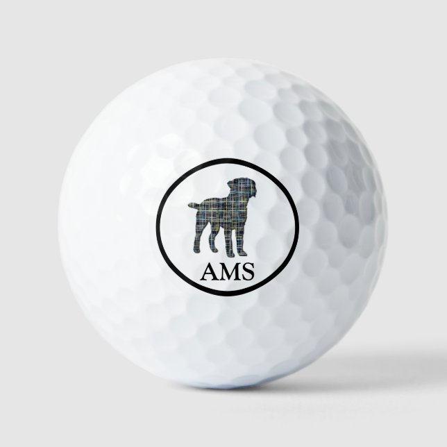 Border Terrier Dog Silhouette Yellow & Blue Grid Golf Balls (Front)
