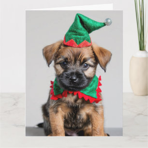 Border Terrier Elf Puppy Christmas Card