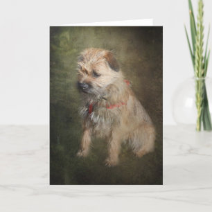 Border Terrier Greetings Card
