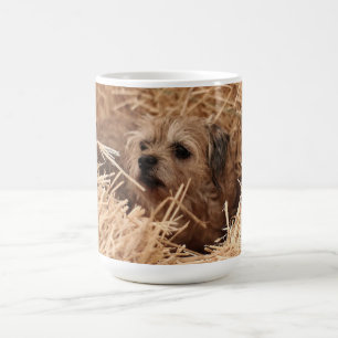 Border Terrier Mug