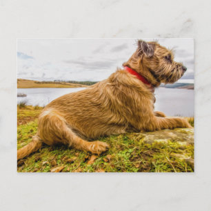 Border Terrier Oil Paint Effect Printed Postcard