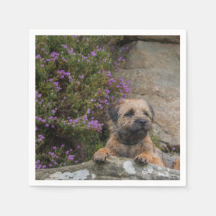 Border Terrier Paper Napkins