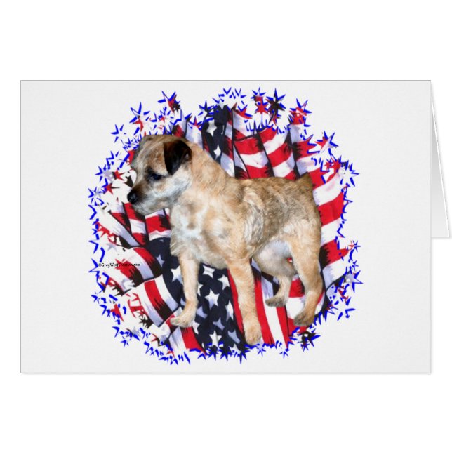 Border Terrier Patriot (Front Horizontal)
