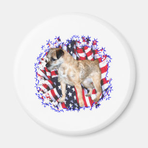 Border Terrier Patriot Magnet