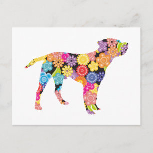 Border Terrier Postcard