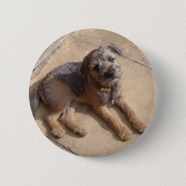 Border Terrier Puppy 2 Inch Round Button (Front)