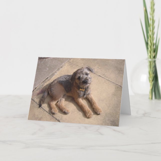 Border Terrier Puppy Card (Front)