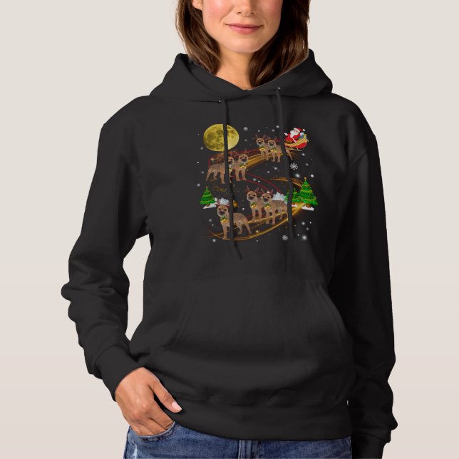 Border Terrier Reindeer Christmas Dog Riding Santa Hoodie (Front)