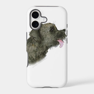 Border Terrier, tony fernandes