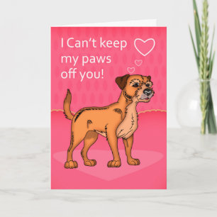Border Terrier Valentine's Greeting Card