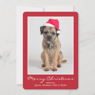 Border Terrier Wearing A Santa Hat Holiday Card