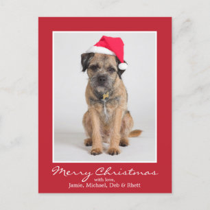 Border Terrier Wearing A Santa Hat Holiday Postcard