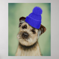 Border Terrier with Blue Bobble Hat