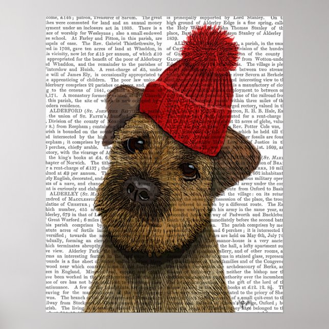 Border Terrier with Red Bobble Hat Poster (Front)