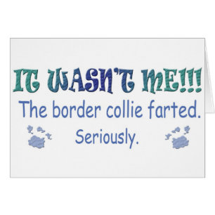 BorderCollie