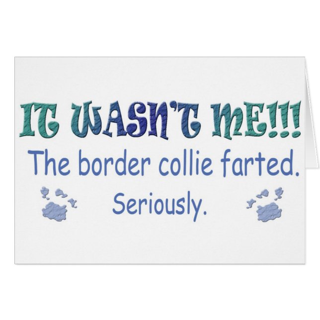 BorderCollie (Front Horizontal)