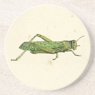 Bordered Print of Green Grasshopper Coaster