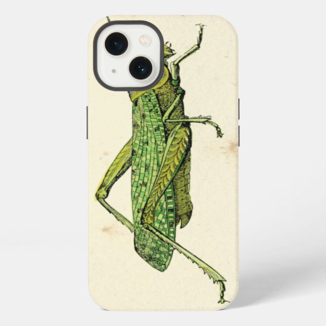 Bordered Print of Green Grasshopper iPhone Case (Back)