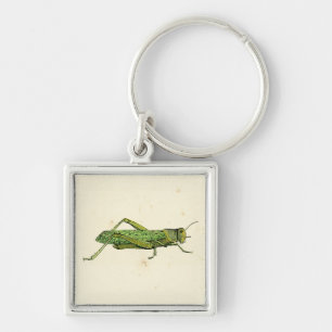 Bordered Print of Green Grasshopper Keychain
