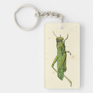 Bordered Print of Green Grasshopper Keychain