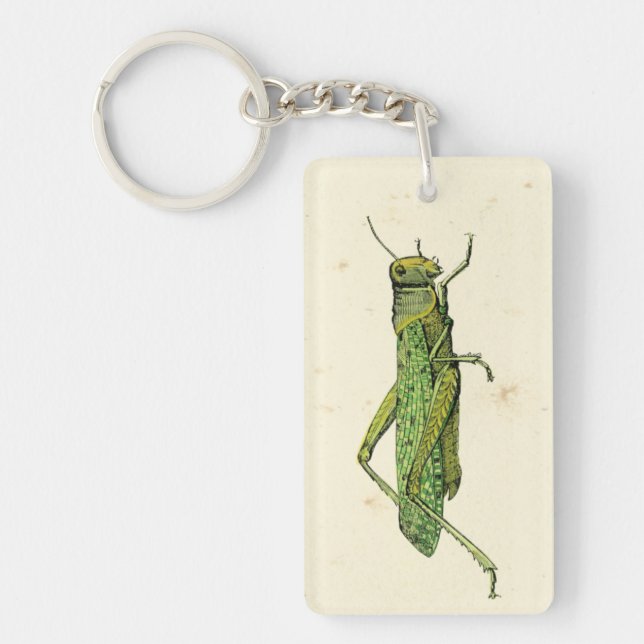 Bordered Print of Green Grasshopper Keychain (Front)