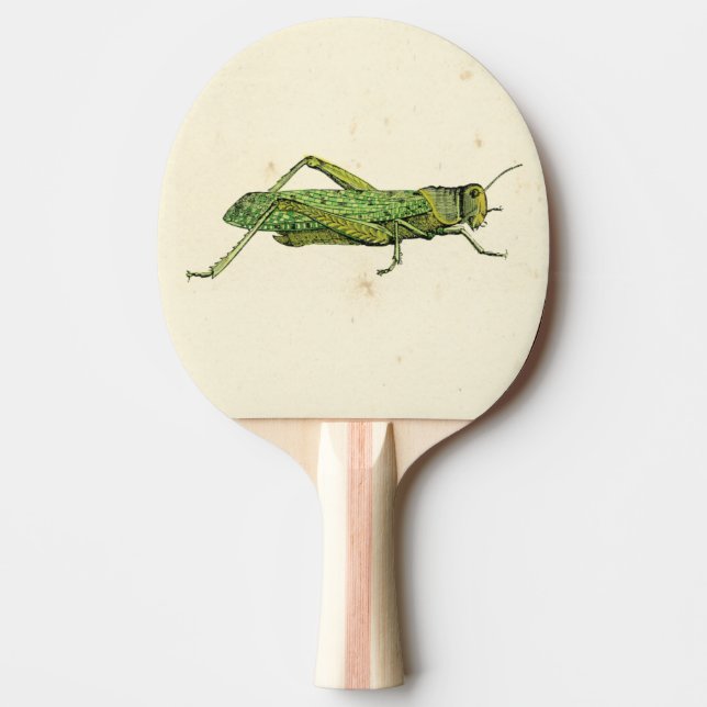 Bordered Print of Green Grasshopper Ping Pong Paddle (Front)