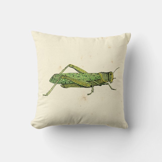 Bordered Print of Green Grasshopper Throw Pillow (Front)